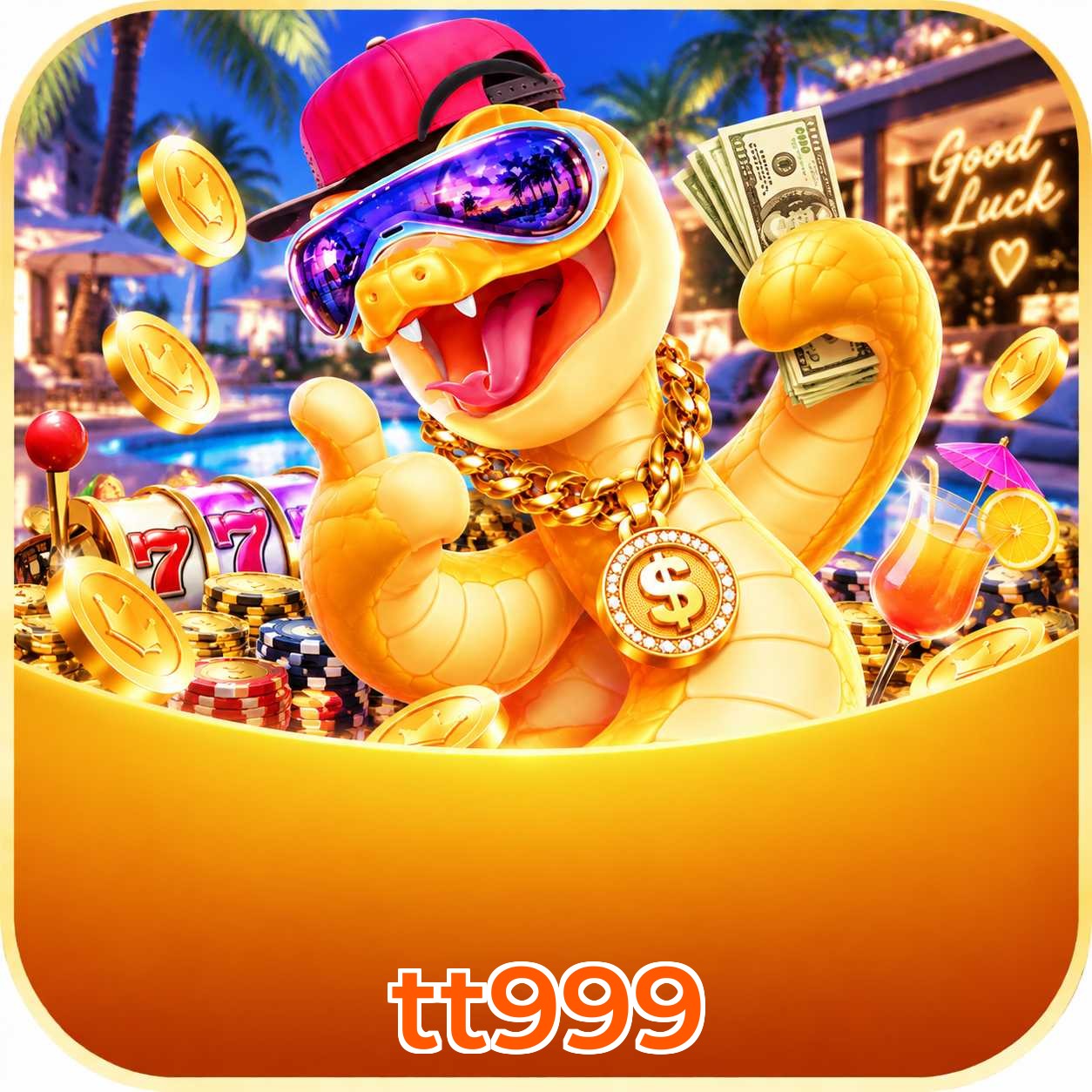 tt999 Métodos de Login