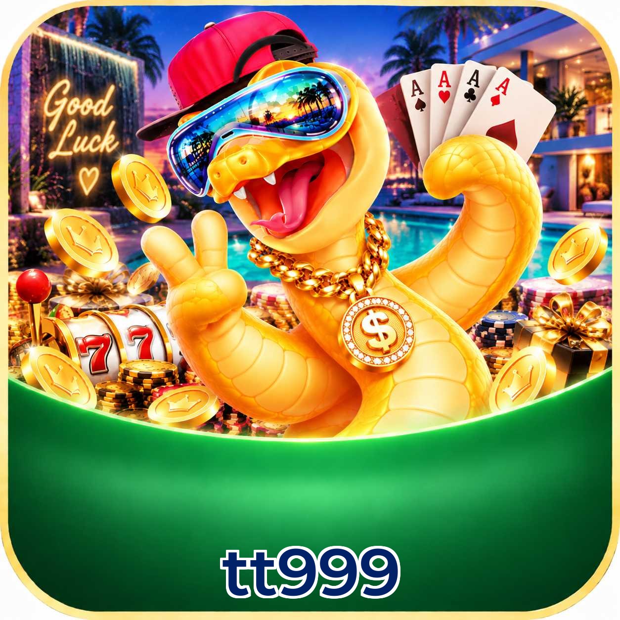 tt999 System Requirements
